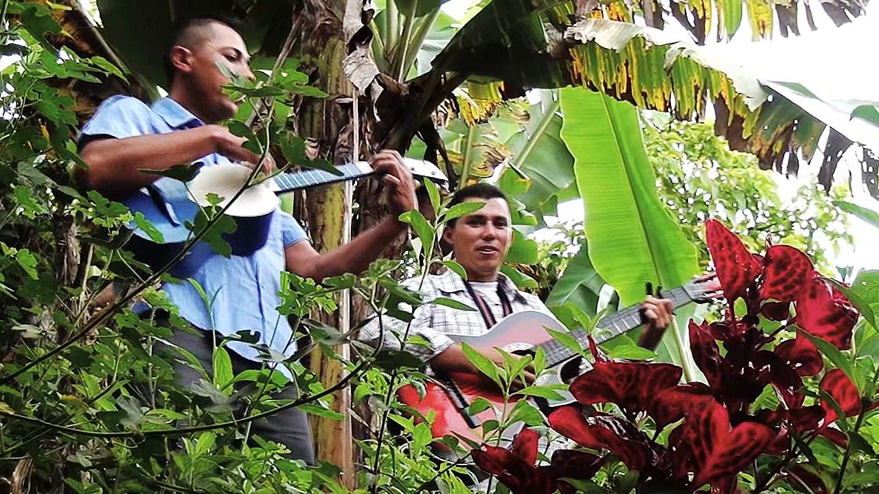 Música Campesina - El Platanal - Grupo: Los Rumberos de Bocono  - Jesús Méndez Producciones