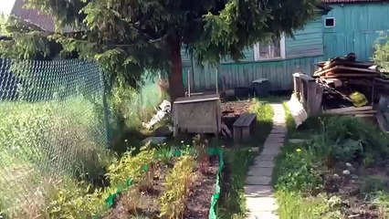 ТУР ПО МОЕЙ ДАЧЕ,я в купальнике+как меня мучили в детстве