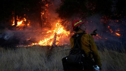 California tarihinin en büyük orman yangınıyla karşı karşıya