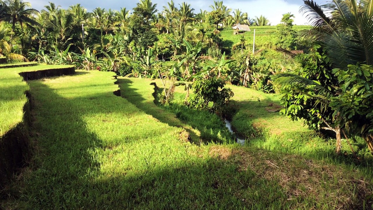 Asie : VIDEO Bali