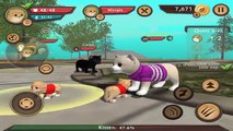 Cat Sim Online: Play with Cats - Cute Baby Kitten - Android / iOS - Gameplay Episode 3