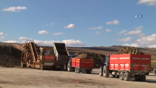 Kuraklık Pancar Üreticisini Vurdu