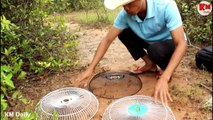 Awesome Quick Bird Trap Using Three Old Fans - How To Make Bird Trap With Electric Fan Guard