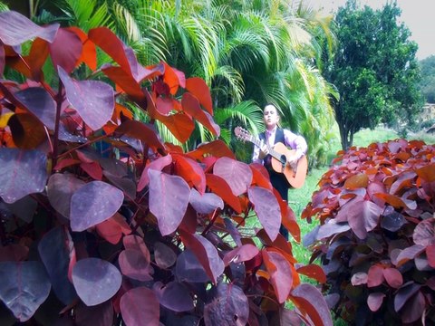 Música Campesina - Consejo Para Mi Padre - Grupo: Los Hermanos Guerrero - Jesús Méndez Producciones