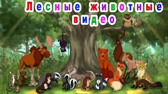 Лесные животные видео развивающие мультики для маленьких