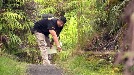 Shooting In Puna's Hawaiian Acres (Oct. 4, 2017)-kZC8mb18e80