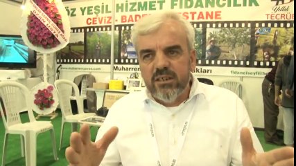 Bu Cevizi Eken Zengin Oluyor