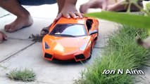 RC Lamborghini Gallardo Remote Control Car Tori Airin Chanel Kids