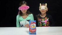 KidToyTesters take the Goldfish Challenge