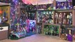 OFFICE LIBRARY Monster High Doll House Tour Room 7 of 40+ Bed of Ghoulia Yelps