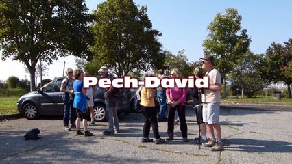 Pech-David 12 octobre 2017