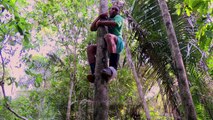Community life inside Brazil’s Amazon reserves