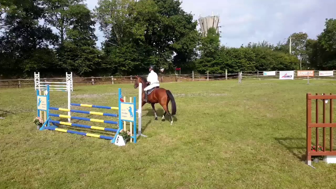 A vendre SF de 4 ans par QUINOTO BOIS MARGOT.