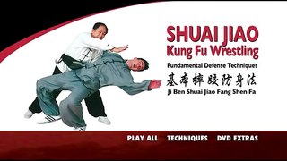 Tai Chi - Kung Fu Defense