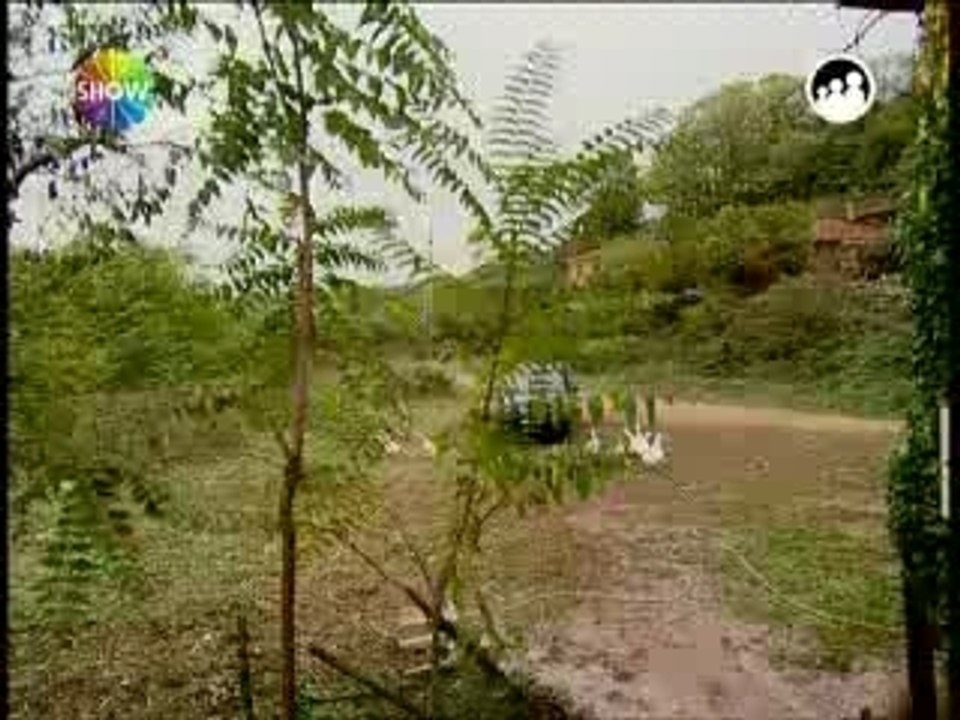 OGLUM ICIN9-5