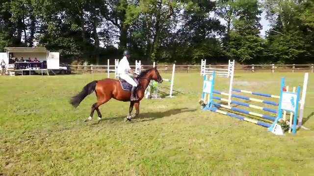 Jument de 4 ans par QUINOTO BOIS MARGOT