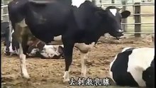 台中外送茶line：are633/台中找援交妹/台中外約/台中按摩全套/台中火車站外約妹