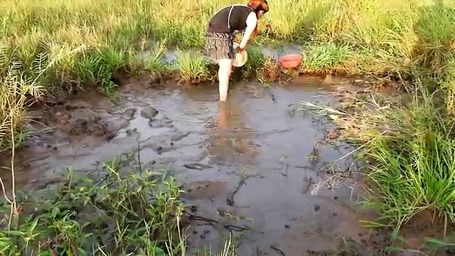 Wow! Beautifull Girl Fishing in Battambang - Khmer Net Fishing - Cambodia Traditional Fishing (196 )