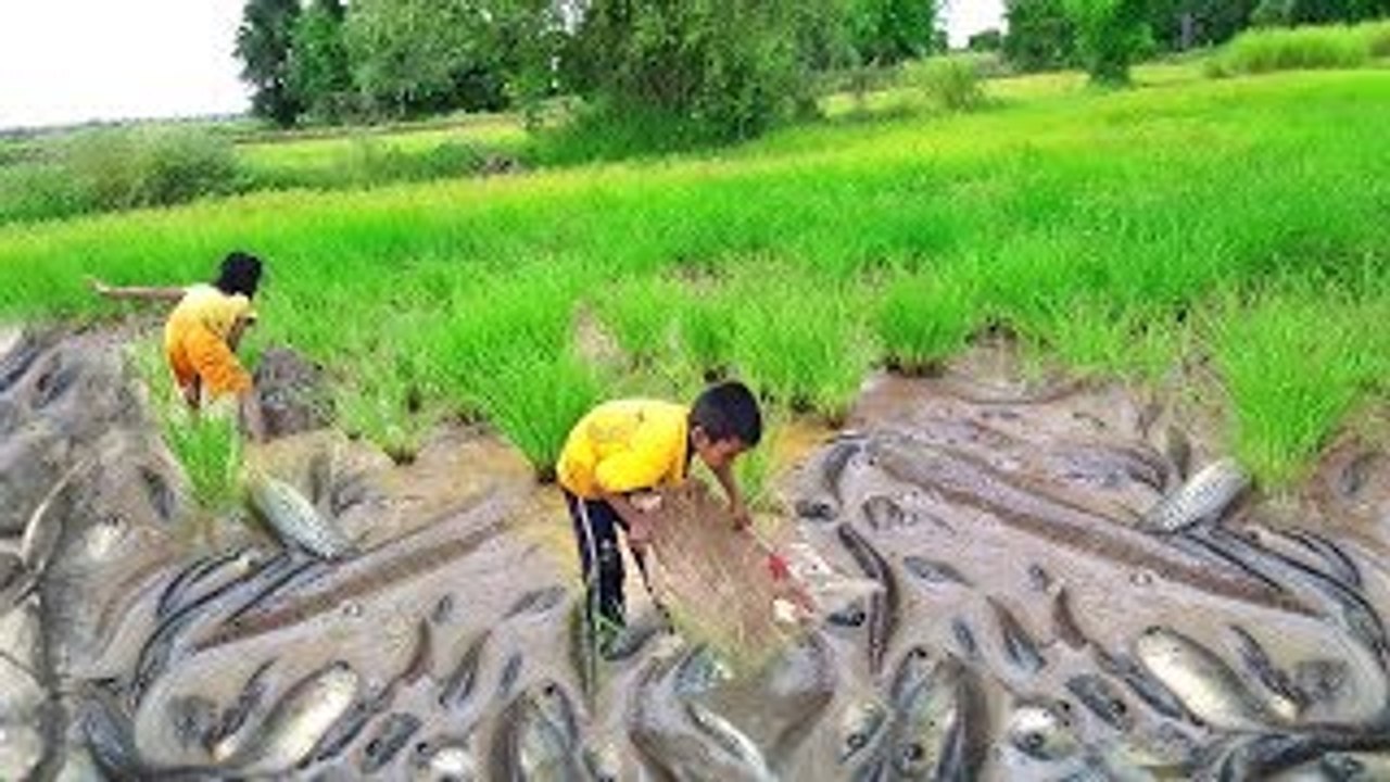 Being Poor is not always Bad!! Two Little Kids Go Fishing by Themselves For Their Living