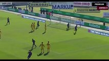 Fiorentina vs Udinese 2-1 - All Goals & Highlights - 15_10_2017 By InfoSports