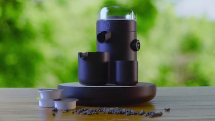 This personal tea brewer will get your tea right every time