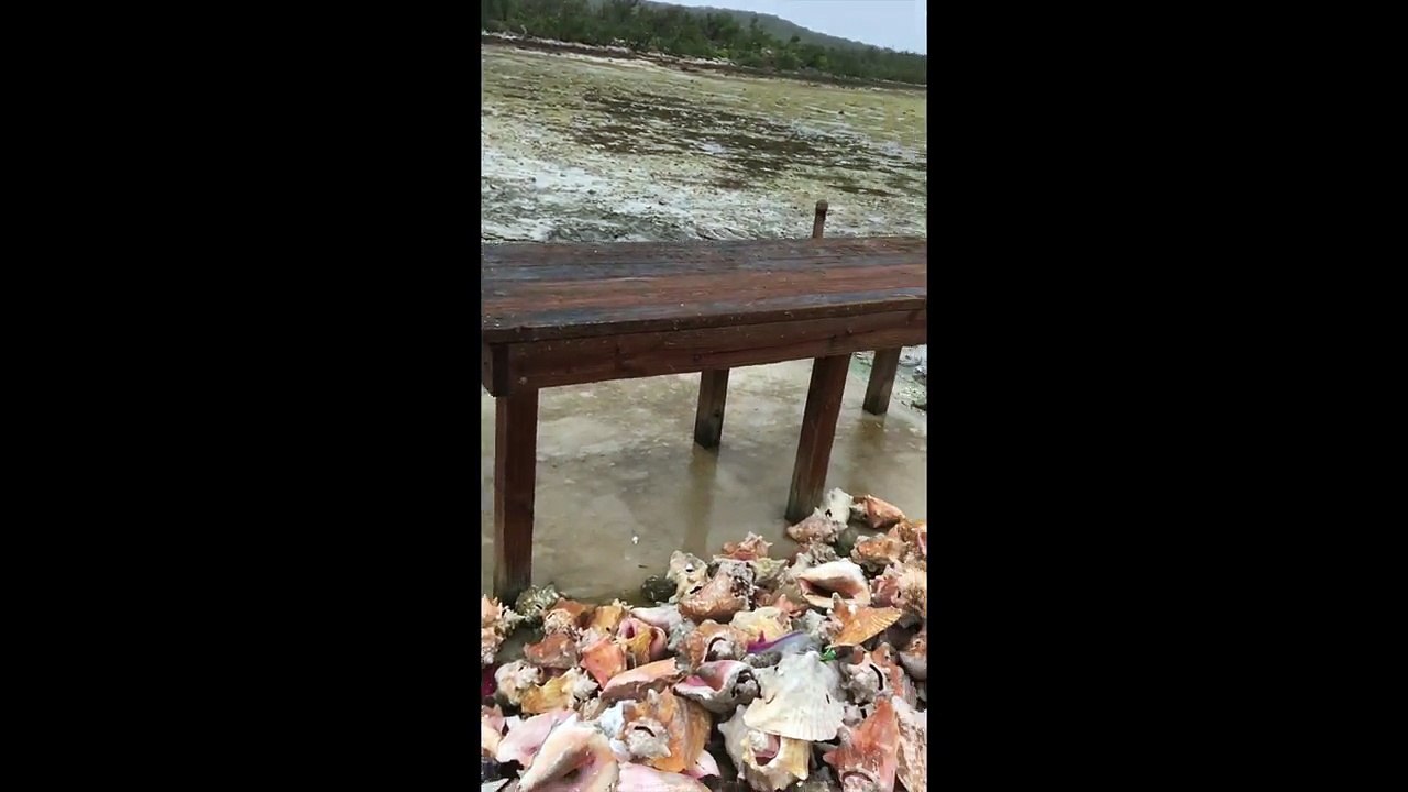 Hurricane Irma's Massive Power