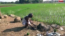 Cooking Eggs Omelette In a Capsicum - Rare Recipe - Primitive Wild Life Survival -