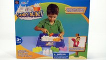 Lets Learn About Sands Alive! - A Play Set With 4 Castle Molds