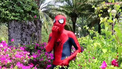 SICK ELSA Morph Into VENOM w/ Spiderman, Joker & Dr. Iron Man - Fun Superhero Movie in Real Life