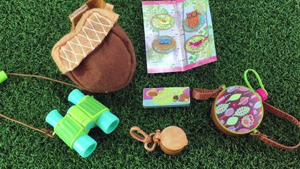American Girl Wellie Wishers Entire Collection Playset Review