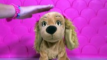 Perrita Lucy juguete - Lucy la mascota inteligente -Lucy perrita interiva - Lucy puppy dog toy