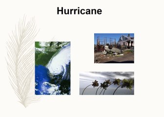 7.8A Catastrophic Event 🌍