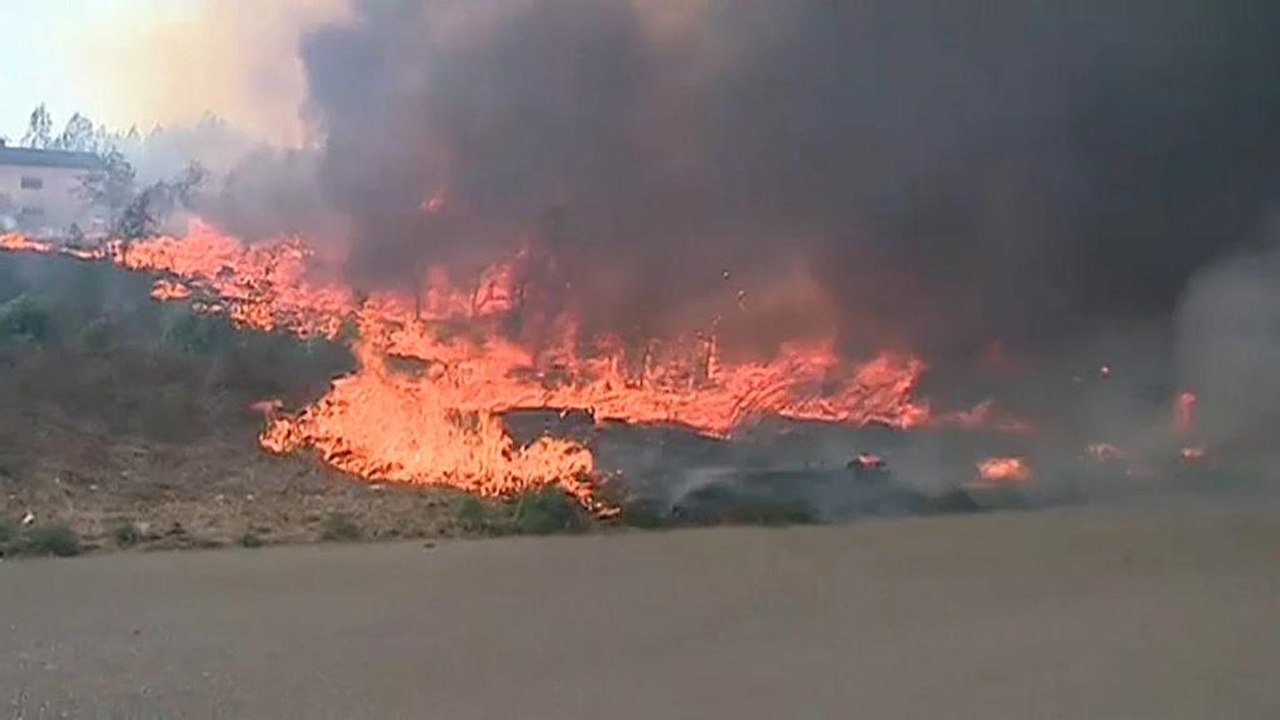 'Der schlimmste Tag des Jahres': Waldbrände in Portugal