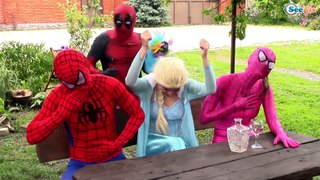 Spiderman & Frozen Elsa & Pink Spidergirl Gets Rainbow Hair! Funny Superheroes Real