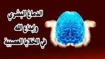 الدماغ البشري وابداع الله في الخلايا العصبية
