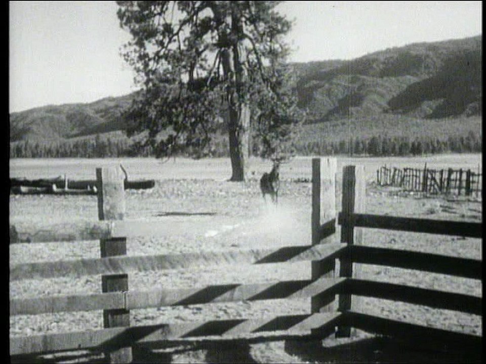 Fury – Die Abenteuer eines Pferdes  S01E05 Waldbrandgefahr