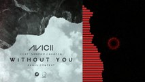 Avicii Ft. Sandro Cavazza - Without You (Emkz Remix)
