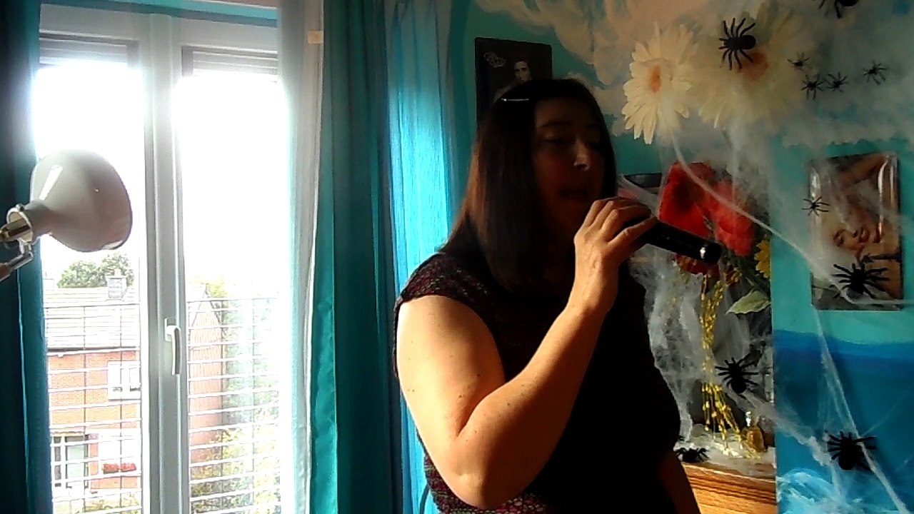 jean louis aubert  voila c 'est fini..