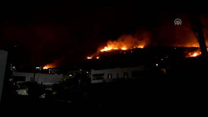 Bodrum'daki Makilik Yangını