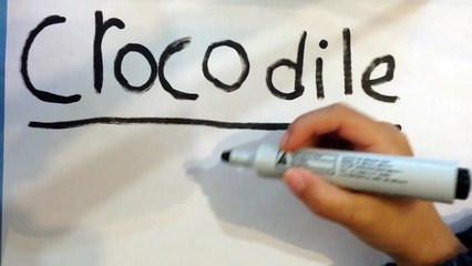 How to draw a cartoon crocodile for kids