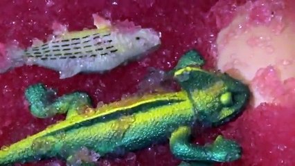 SLIME BAFF Acqua GELLI Cosa abbiamo trovato dentro? SLIME BATH CHALLENGE