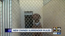 New rules for surrendering pets at Maricopa County animal shelter