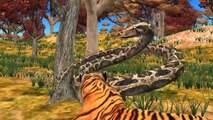 African Lion Attacks Deer _ Anaconda Vs Tiger Animal Fight _ Cartoon Animation Animal Short Film-ZiPREX3lT94