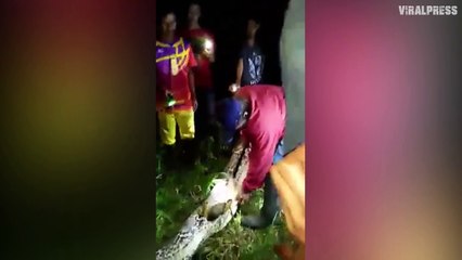 Farmer Rescued After Being Swallowed By PYTHON