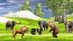 Animals Race - Lion Vs Bear Animal Running Race Video for Kids _ Which is the fastest animal-YX4eeZ9QIGs
