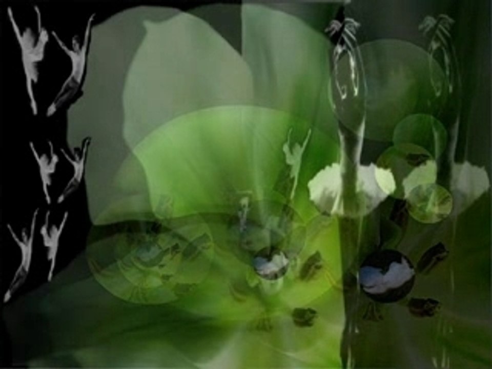 Entrez dans ma danse..........