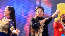Tanu Brar Group __ Cute Punjabi Orchstra Girl Dancer(1)