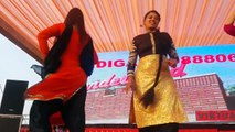 Tanu Brar Group __ Best Dancer in Punjab __ Wedding Dance Orchestra Part-3