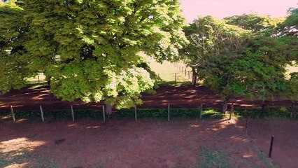 PROMO série "A Herança"