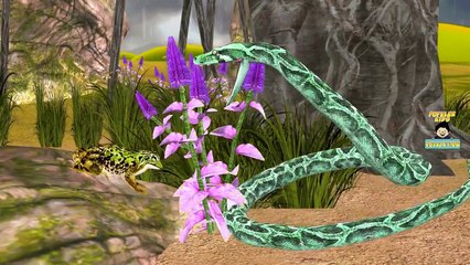 Animals Finger Family _ Snake Crocodile Finger Family _ Animals Cartoons For Kids _  Children Rhymes-hJXxibj0XYw